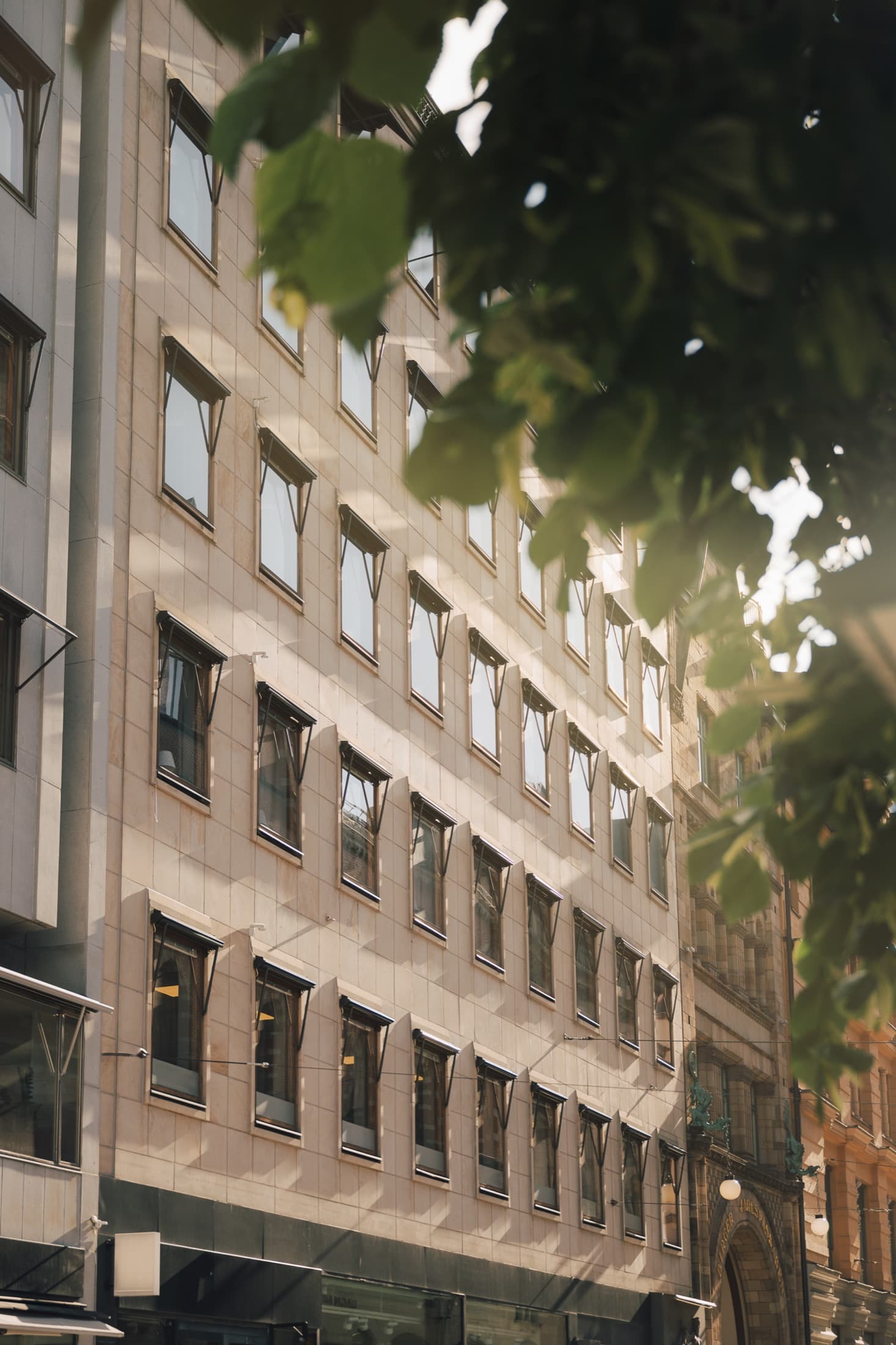 A sunlit office building framed by green leaves in Stockholm